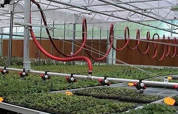 农肥/叶面肥用硼酸采购指南，避开陷阱选对原料